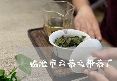 临沧市云茶之邦茶厂 冰岛/2023051205058